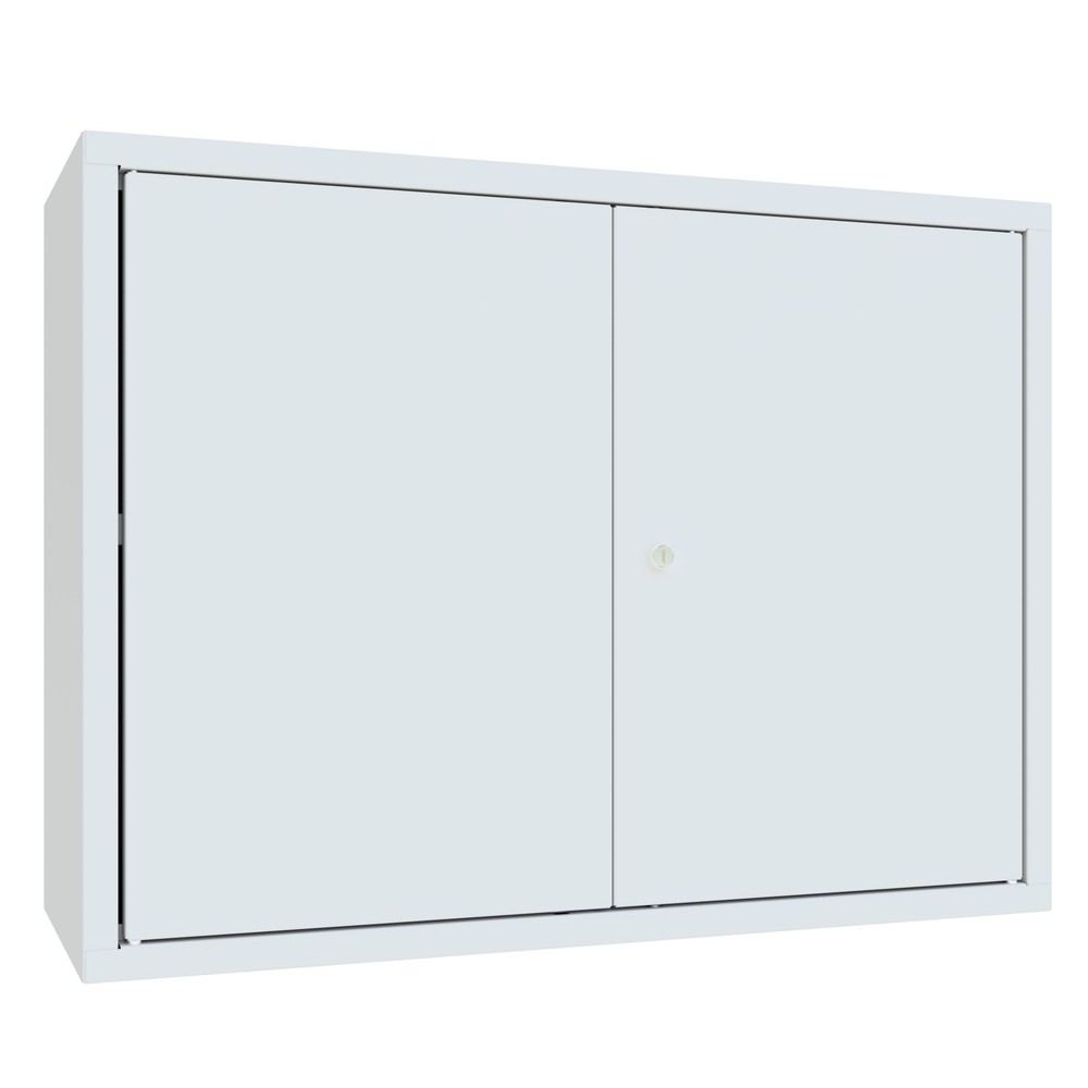 Armoire suspendue PAVOY, H x l x P 600 x 800 x 300 mm, paroi arrière perforée, gris clair, gris clair